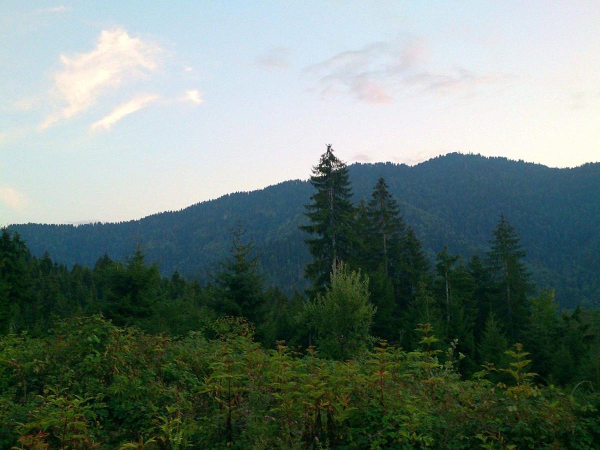 Mountain Resort Gantiadi Bordżomi Zewnętrze zdjęcie