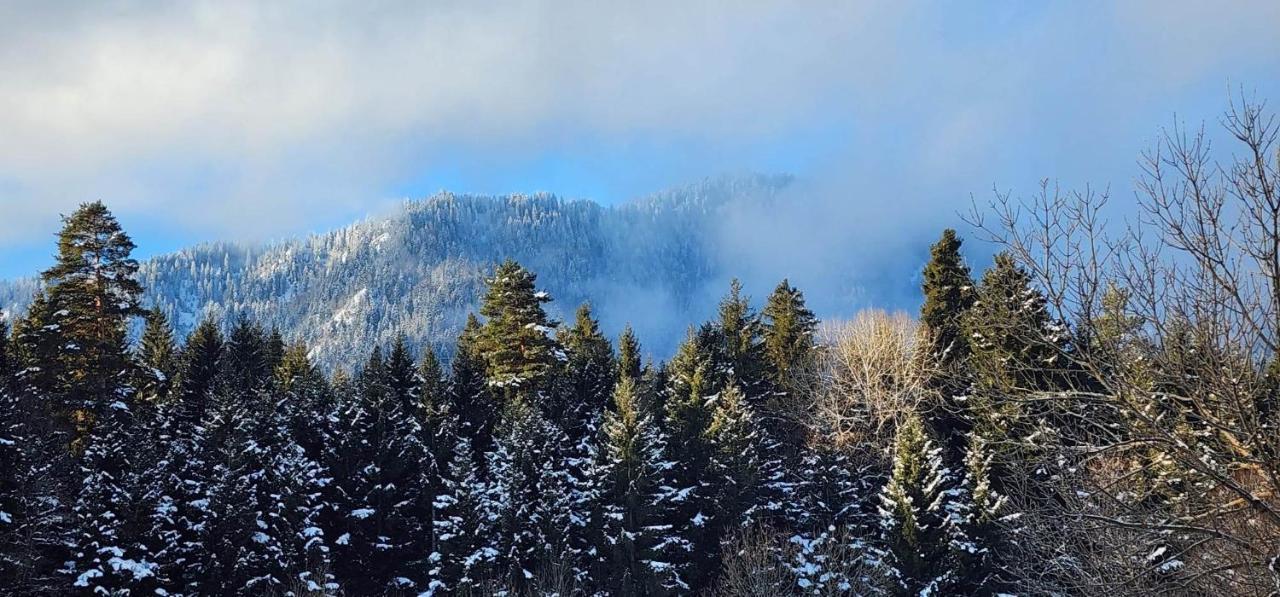 Mountain Resort Gantiadi Bordżomi Zewnętrze zdjęcie