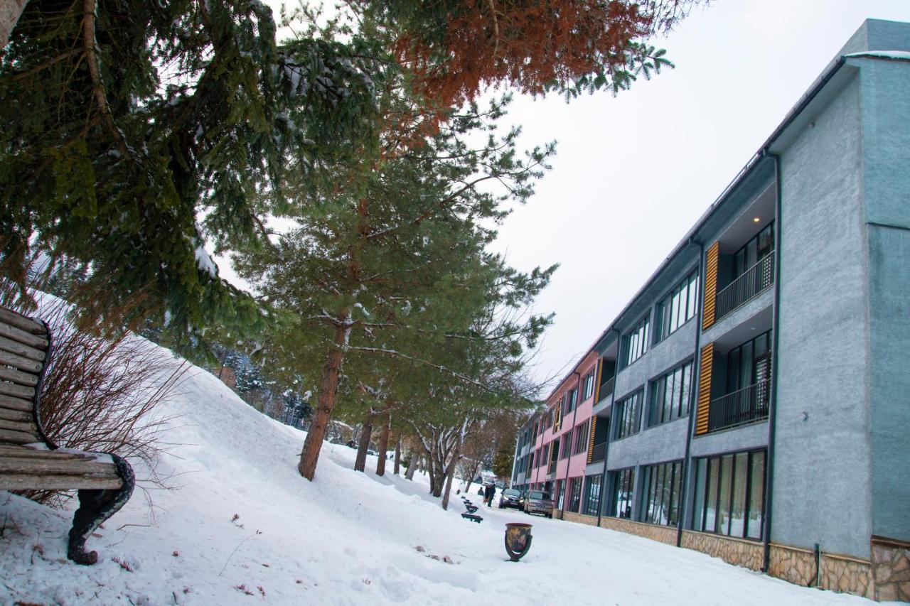 Mountain Resort Gantiadi Bordżomi Zewnętrze zdjęcie